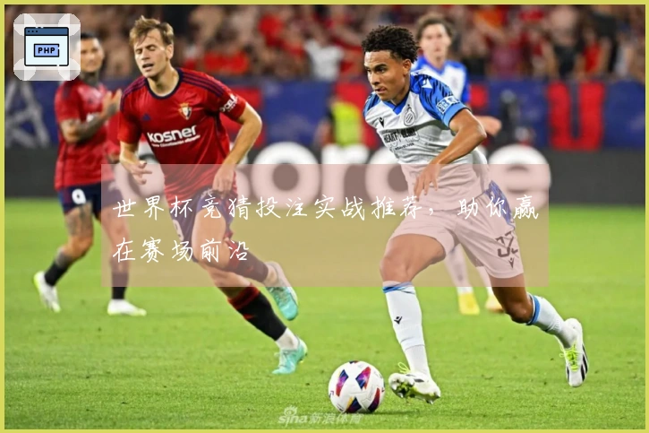 世界杯竞猜投注实战推荐，助你赢在赛场前沿