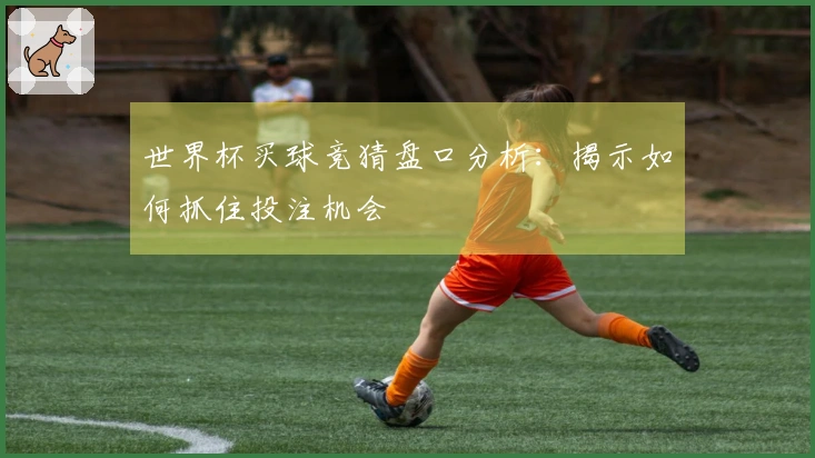 世界杯买球竞猜盘口分析：揭示如何抓住投注机会