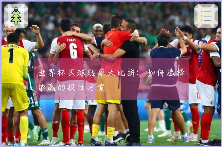 世界杯买球赔率大比拼：如何选择能赢的投注方案