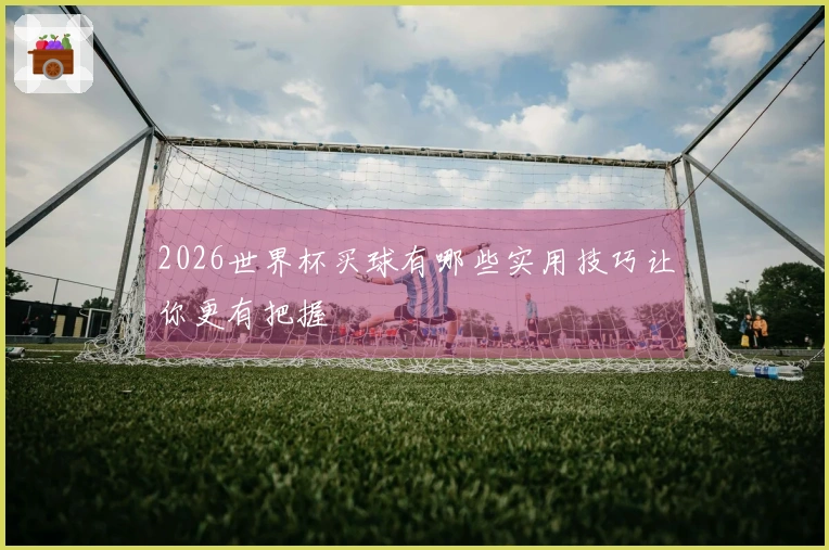 2026世界杯买球有哪些实用技巧让你更有把握