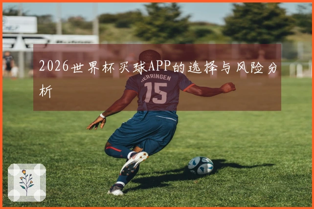 2026世界杯买球APP的选择与风险分析