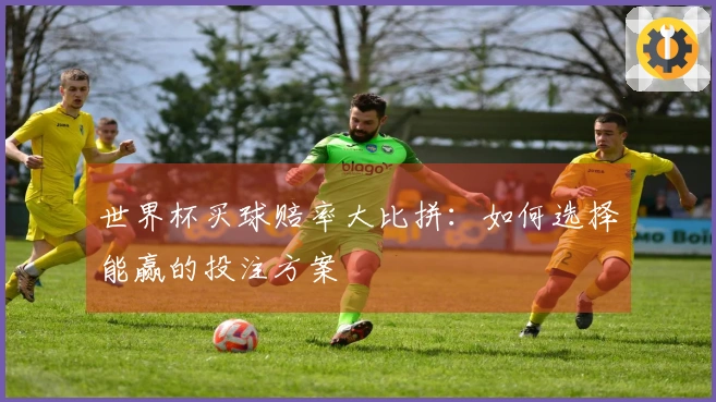 世界杯买球赔率大比拼：如何选择能赢的投注方案