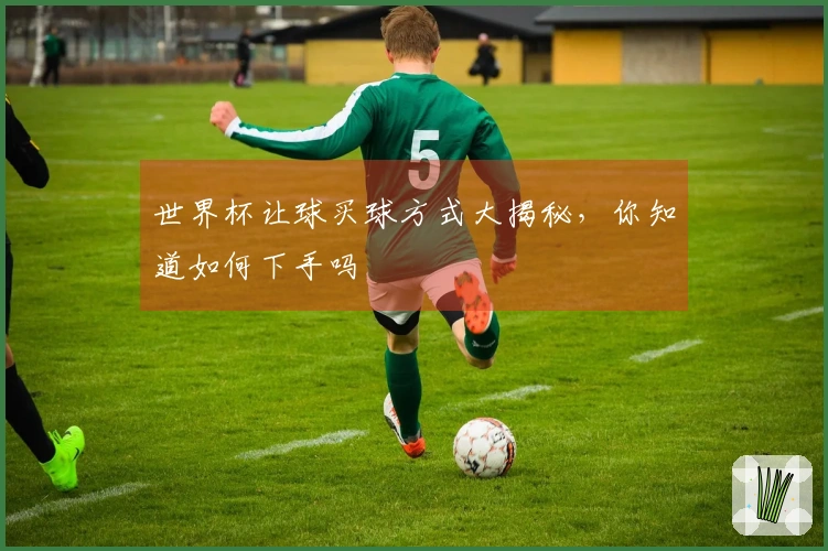 世界杯让球买球方式大揭秘，你知道如何下手吗